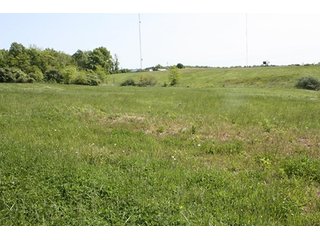 Property photo 8 - LAND AUCTION - 389.5+/- ACRES IN 11 TRACTS IN SULLIVAN COUNTY, INDIANA